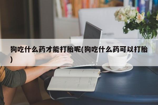 堕胎药联系微信狗吃什么药才能打胎呢(狗吃什么药可以打胎)