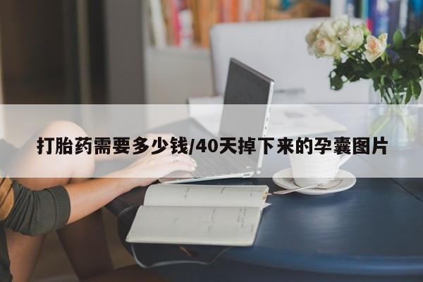 堕胎药联系微信打胎药需要多少钱/40天掉下来的孕囊图片